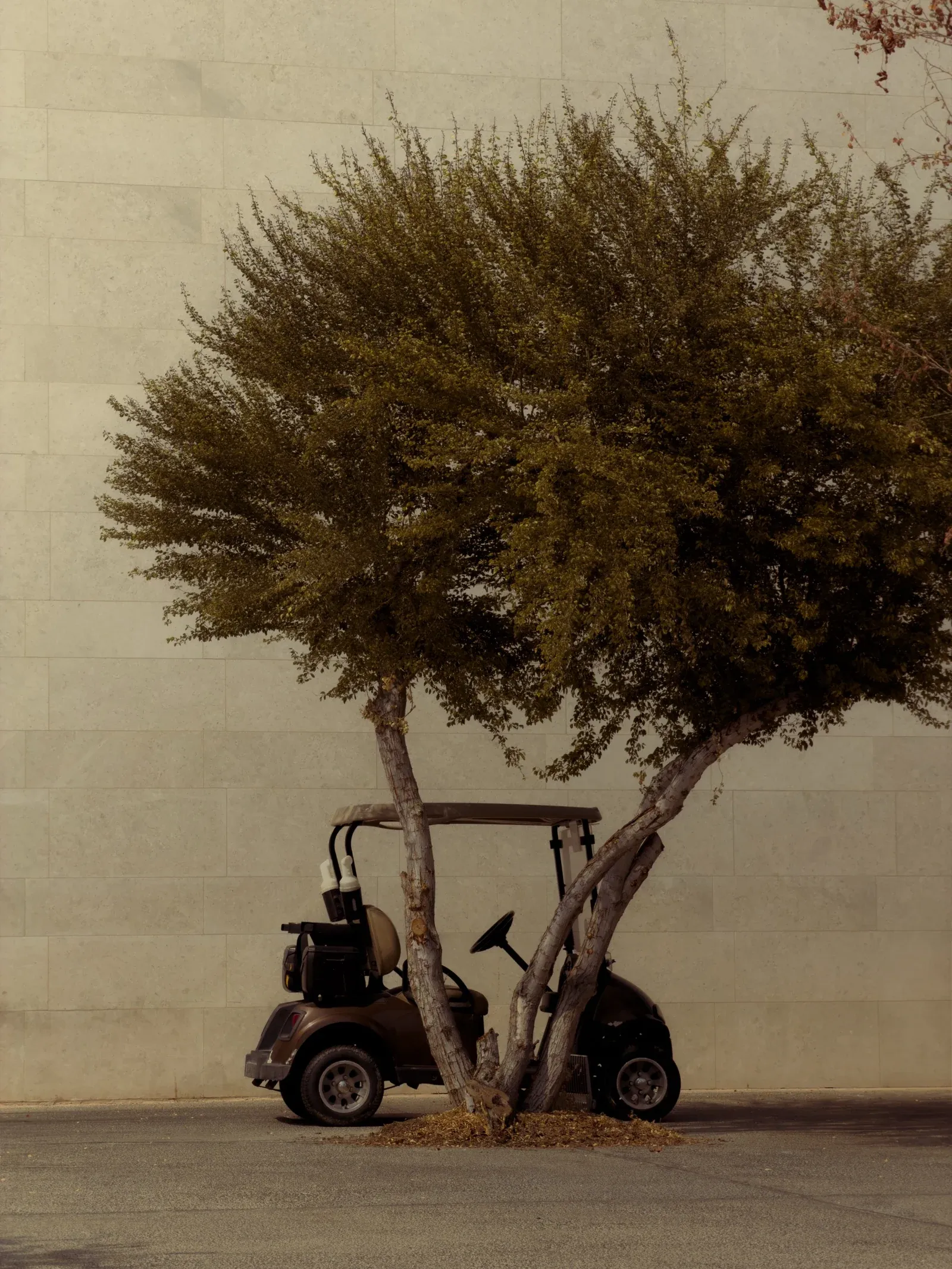 Frame 3