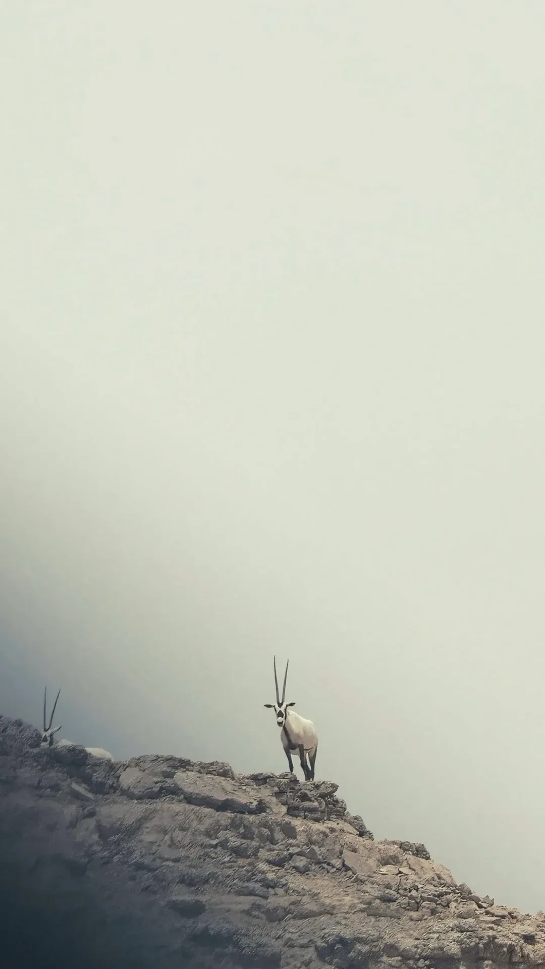 Frame 9